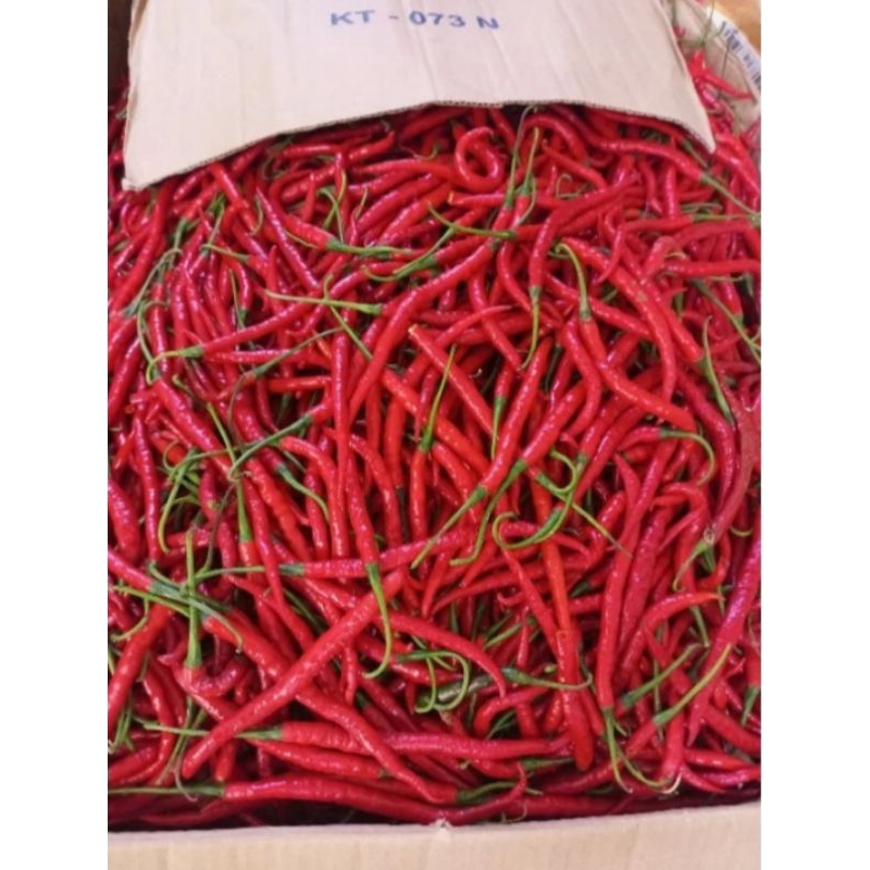 

cabai merah keriting segar 500grm
