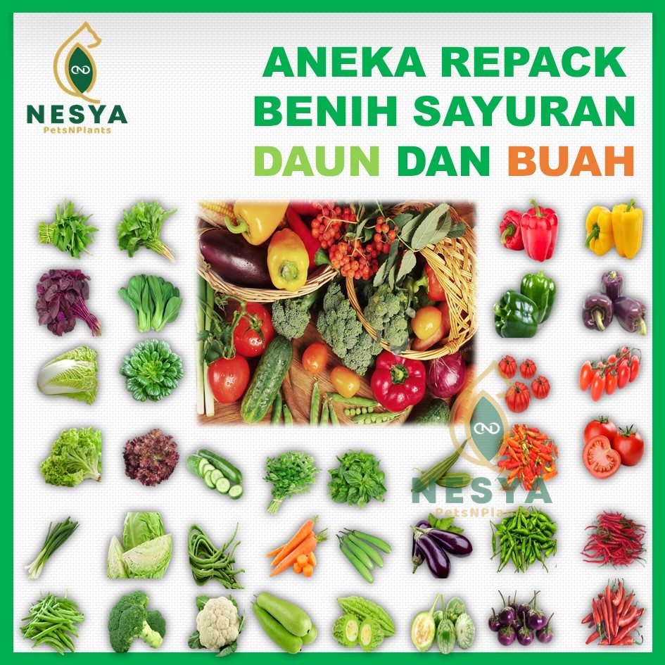 Benih Sayur Sayuran Daun Buah Rumahan Lengkap Berkualitas - Benih Sayur