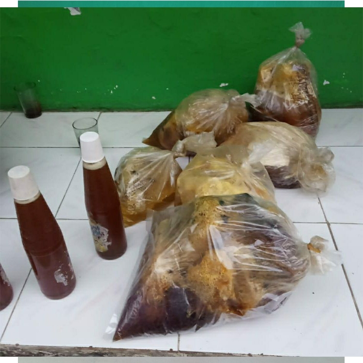 Madu odeng madu lebah hutan asli