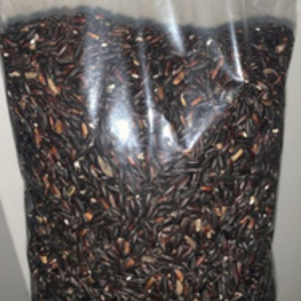 

HERBAL ORIGINAL TERBAIK KETAN HITAM KERING- 250 GRAM