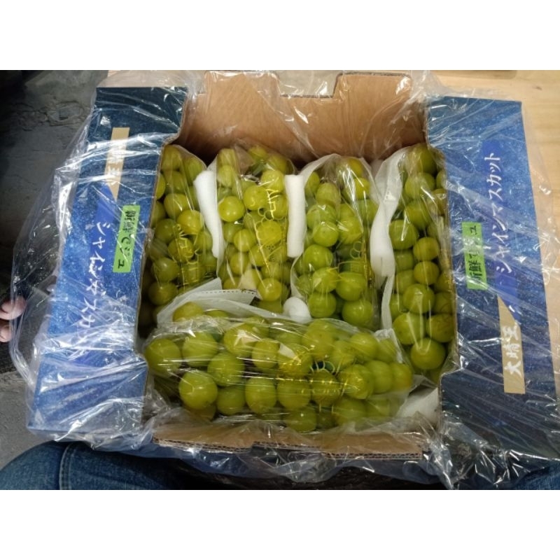 

GRAPE GREEN MUSCAT PREMIUM QUALITY