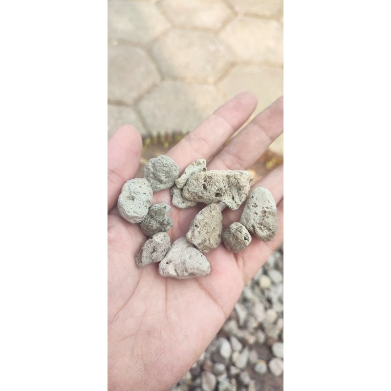 batu apung (1kg) #pumice #batuapung 1kg