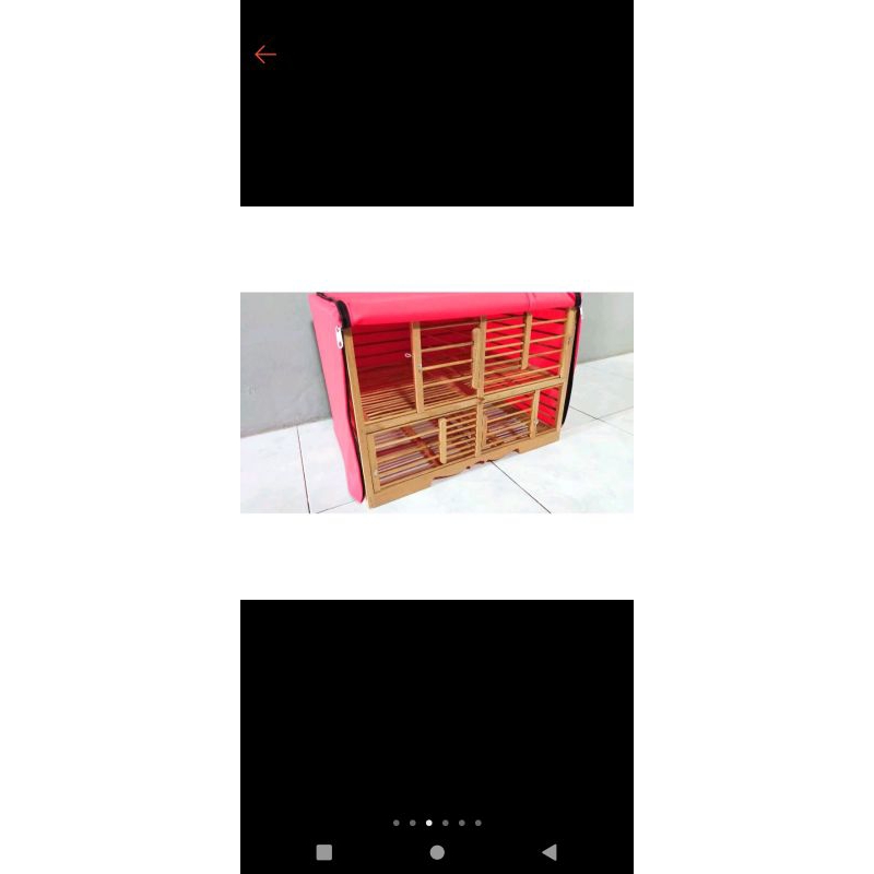 kerodong krodong sangkrip burung merpati sangkar doro  termurah