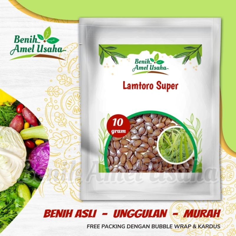 bibit benih lamtoro super isi 10 gram / benih lamtoro petai cina / bibit lamtoro cepat tumbuh