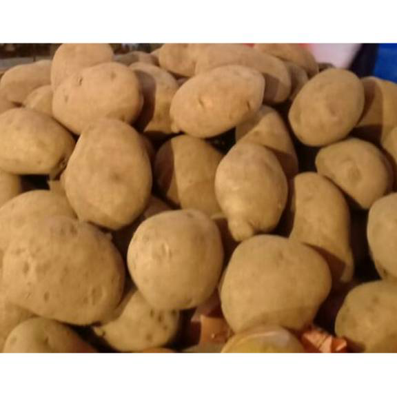 

Terupdate Kentang dieng /500 gram ➧➣✩✸