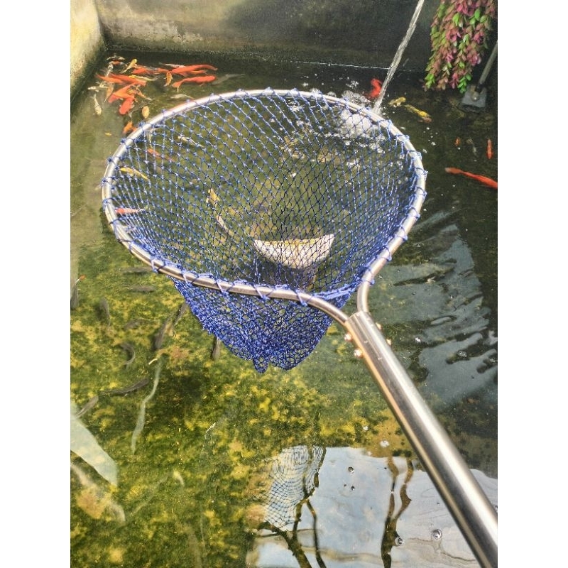 Serok Kolam Serok Stainless 30cm Gagang 20cm