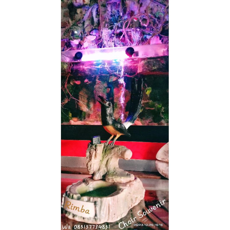 #asbak #burung #murai #asbakkorek #asbakunik