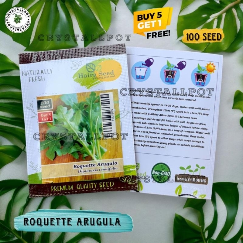 Benih Bibit Arugula Roquette Haira Seed - ROQUETTE ARUGULA BELI 5 GRATIS 1