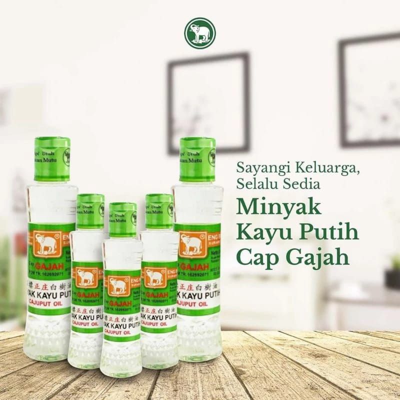 GAJAH MINYAK KAYU PUTIH