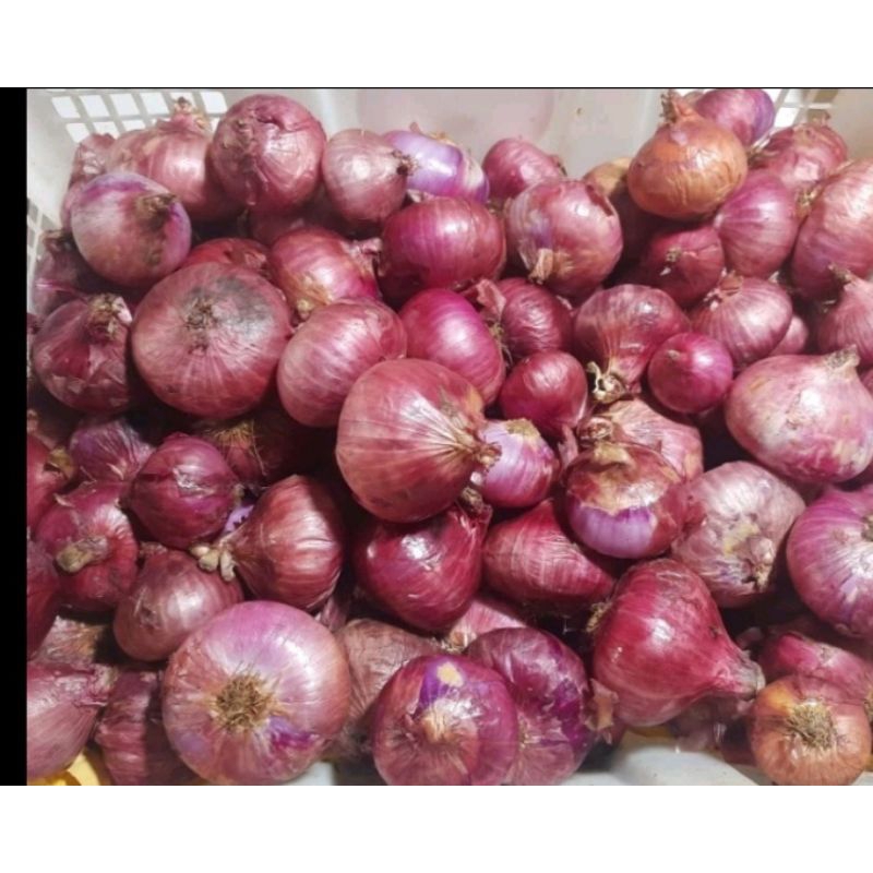 

bawang merah india , packing 1kg