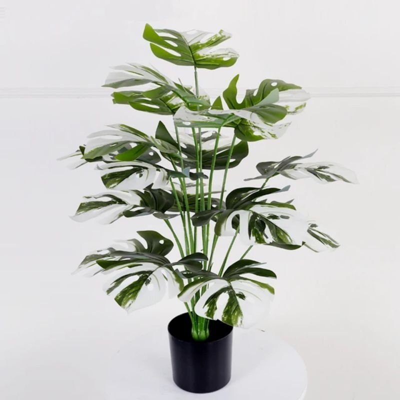 TANPA POT monstera varigata 24 daun jumbo artificial