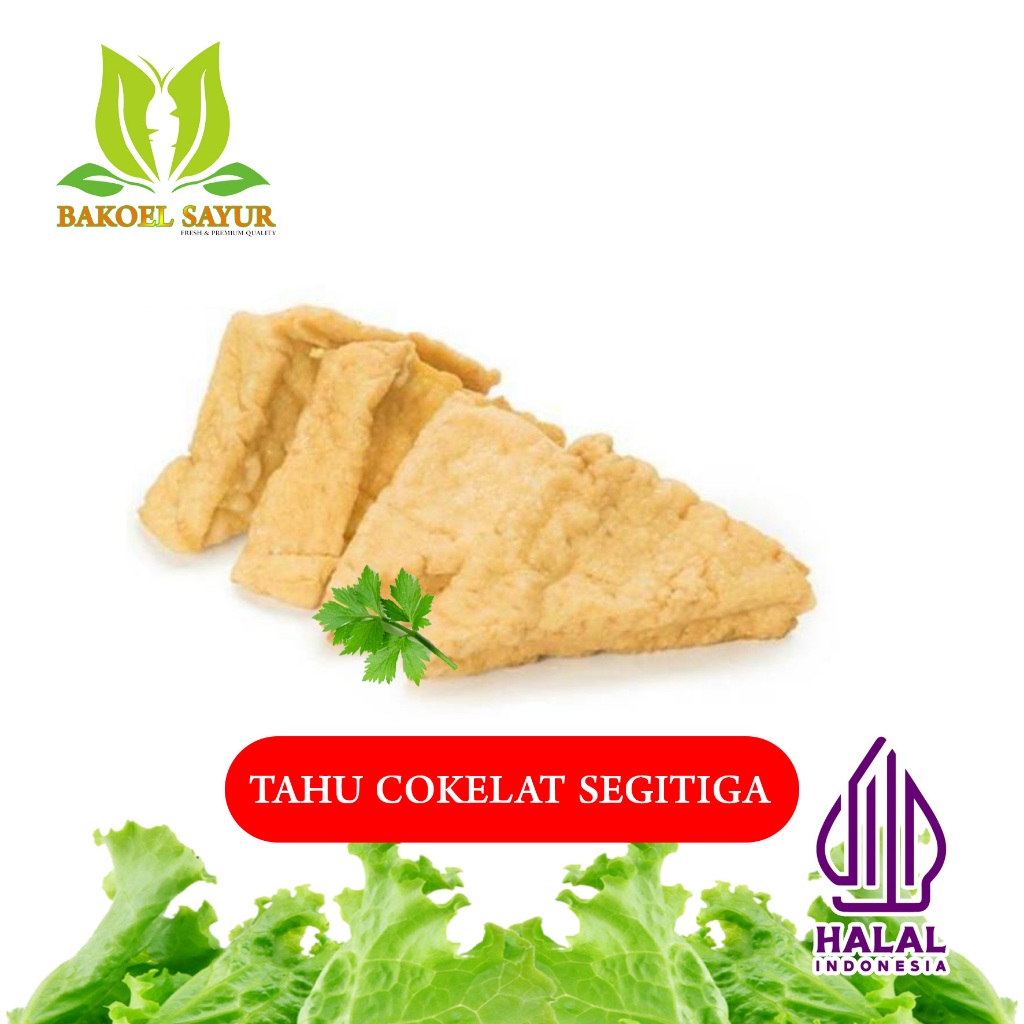 

TAHU COKLAT / TAHU SEGITIGA - ISI 10 PCS