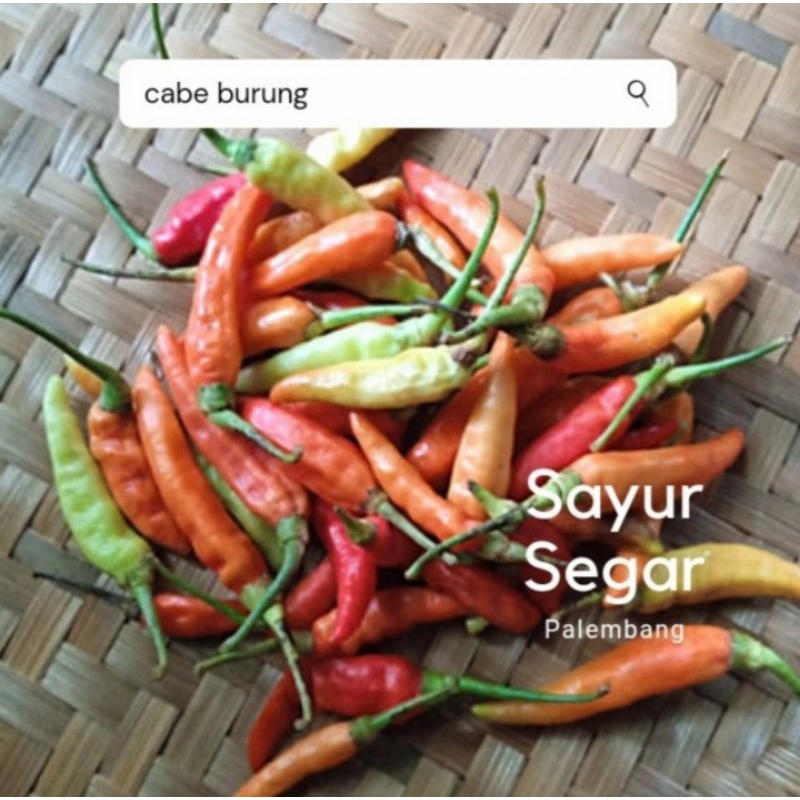 

Cabe Burung Per 100 Gr