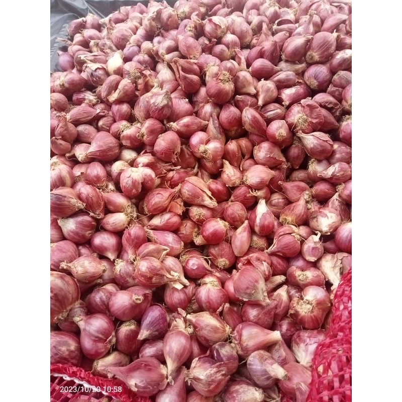 

bawang merah ukuran sedang | brambang 1 kg