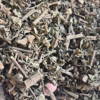 

DAUN BELUNTAS KERING/ BARUNTAS HERBAL TERBAIK- 100 GRAM