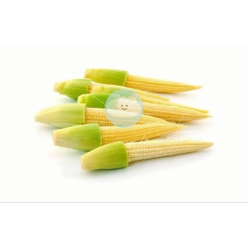 

JAGUNG MUDA / BABY CORN / JAGUNG PUTREN / JAGUNG ACAR 250GRAM