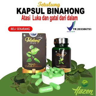 Kapsul Binahong Obat Luka, Luka Operasi Dan Antigatal "Tetulung Kapsul Binahong" BPOM