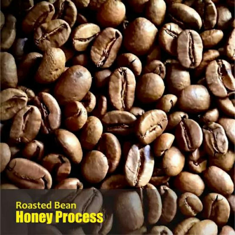 

Kopi Gayo HONEY Process PREMIUM 250 Gr