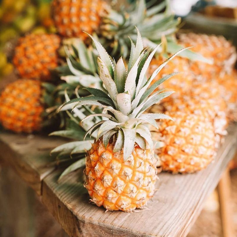 

1 BUAH NANAS FRESH JUAL BUAH NANAS MALANG MURAH GRATIS ONGKIR BISA COD