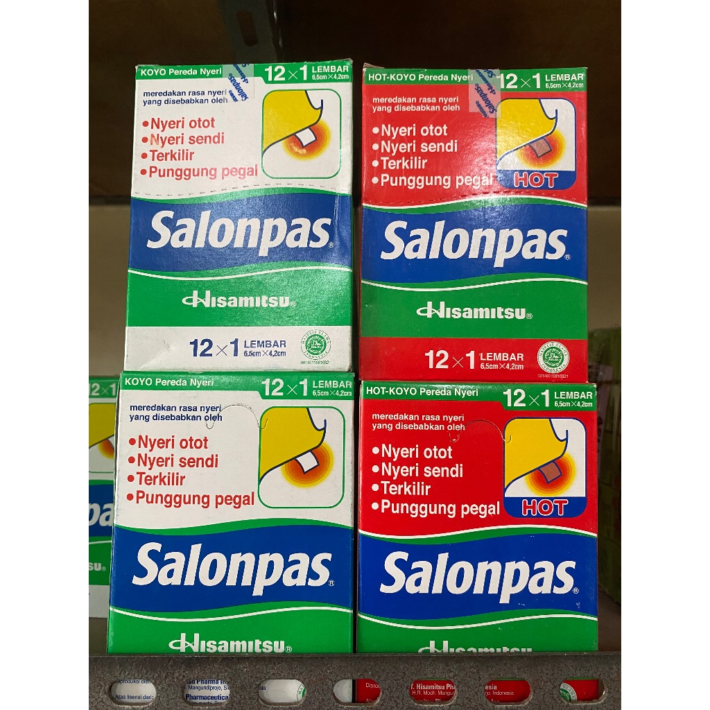 Salonpas/Salonpas Hot Box Isi 10 Sachet @12 Lembar