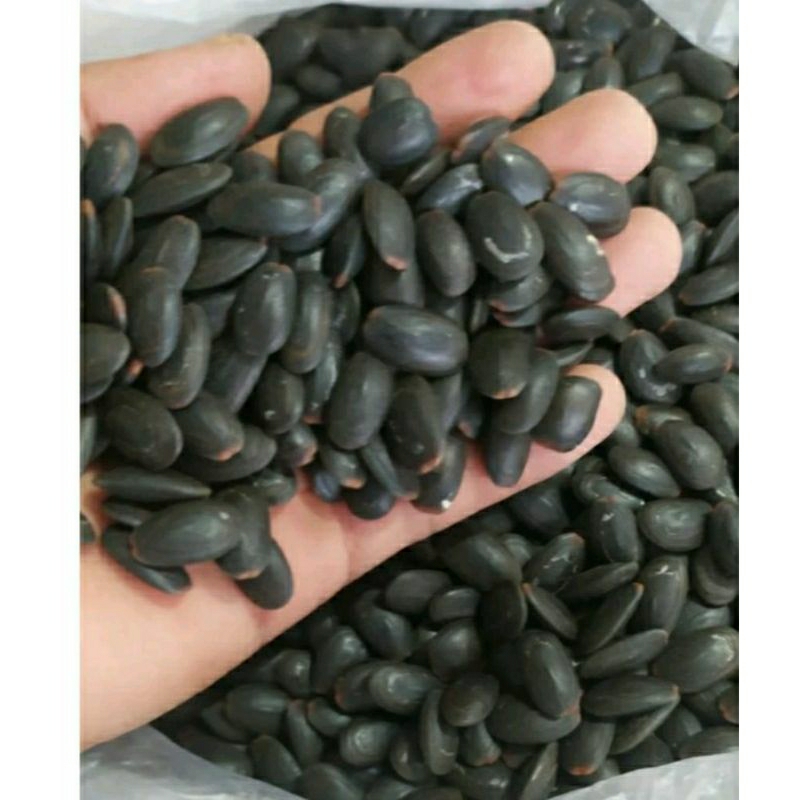 

Biji Kedawung 100gr /250 gr