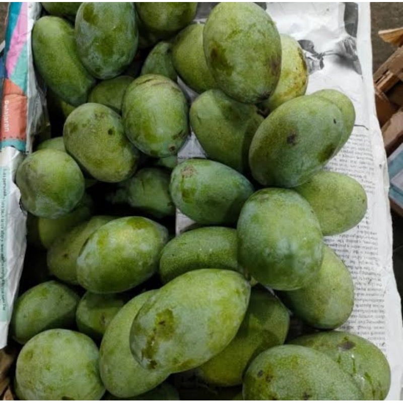 

Buah mangga simanalagi segar 500 gram buah musiman
