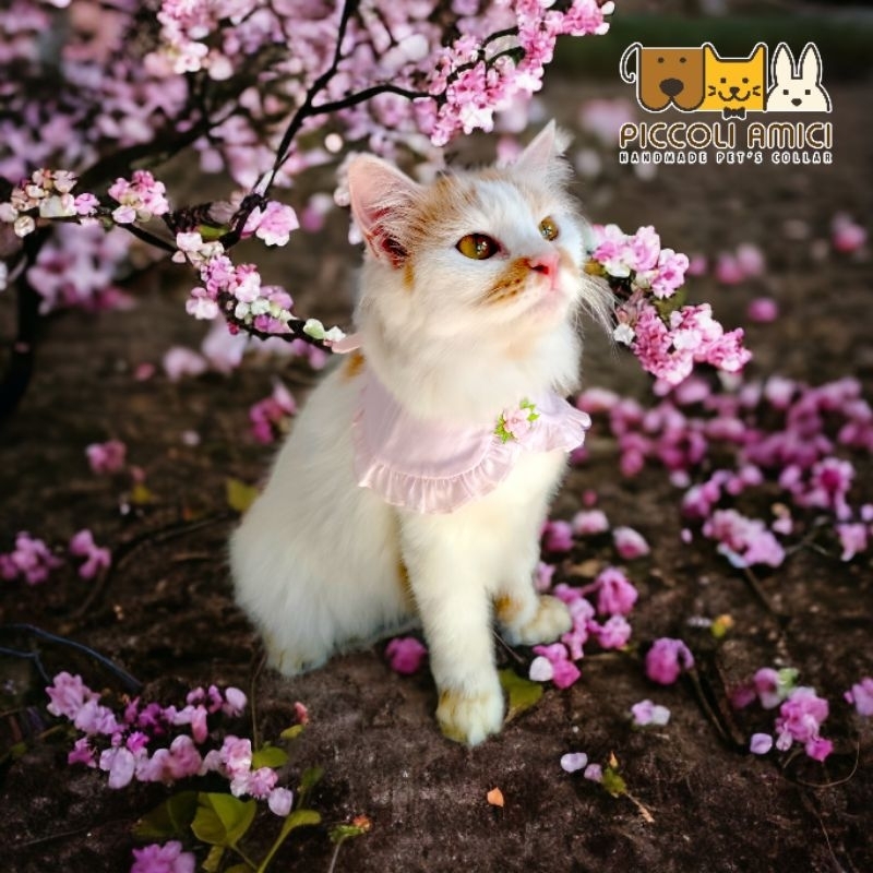 PET'S COLLAR / DOG / CAT / RABBIT / GIANT DOG / bib