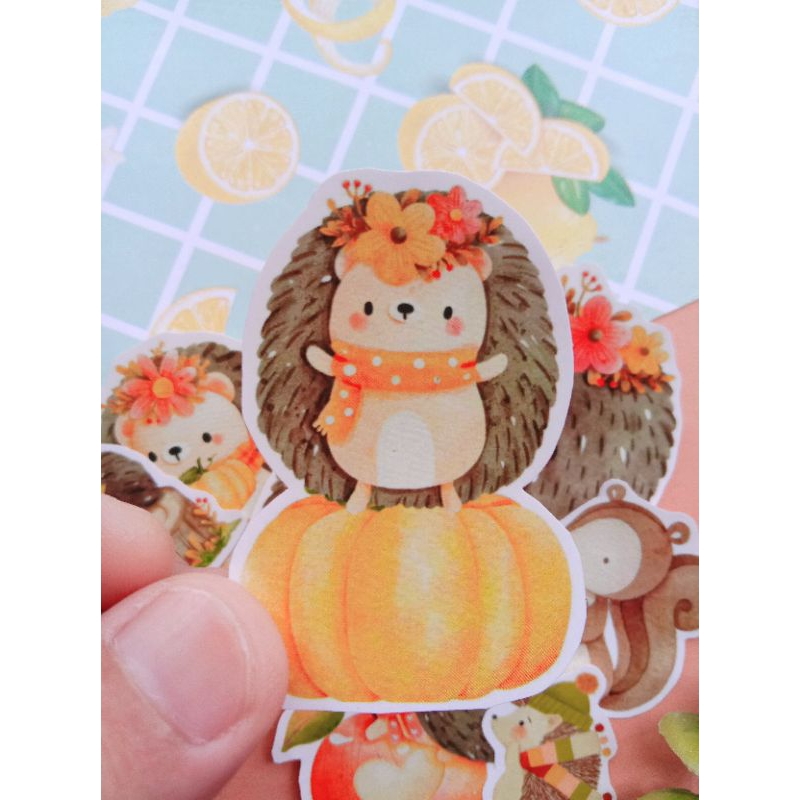 

Stiker seri Landak Lucu