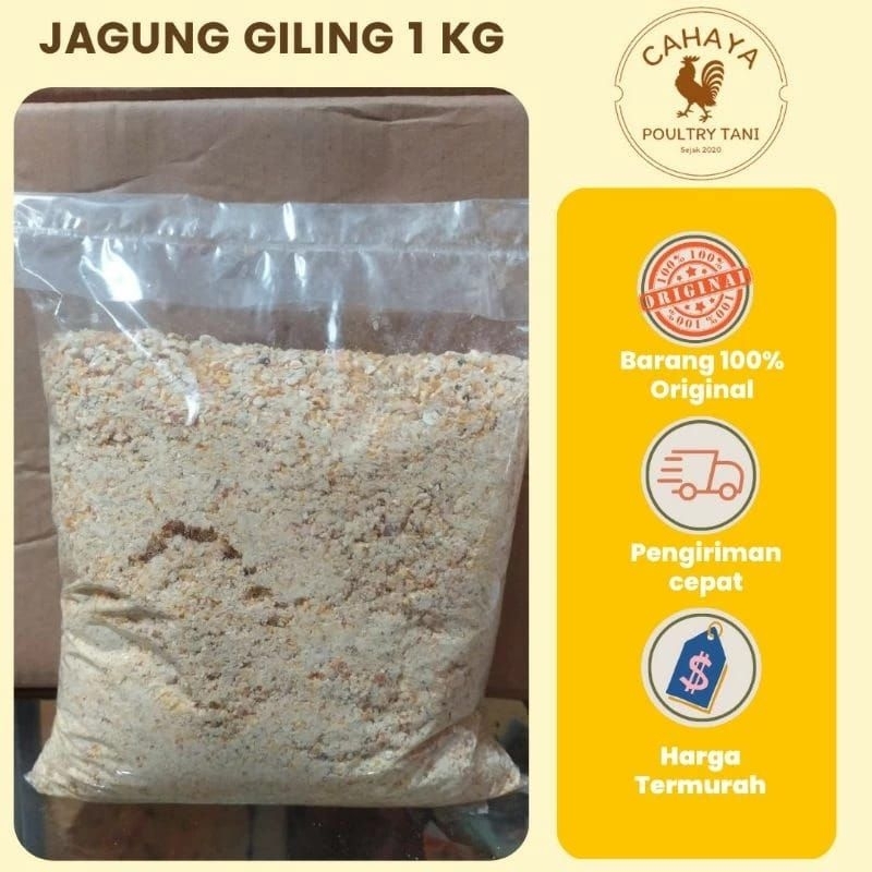 Pakan Ayam JAGUNG GILING 1 Kg