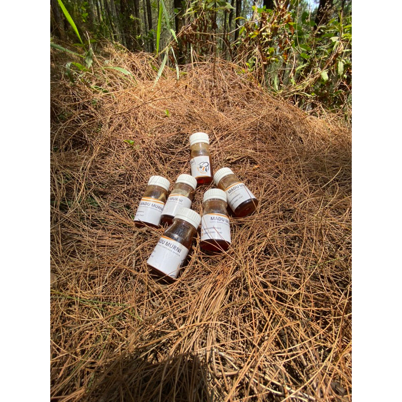 

Madu Asli Madu murni kemasan 50gram