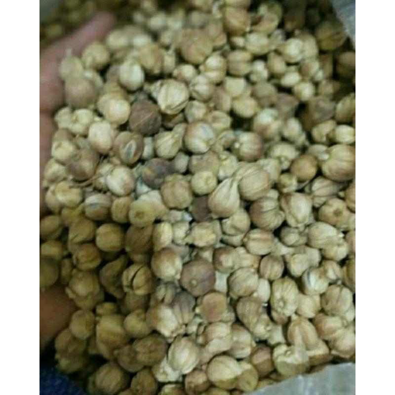 

Kapulaga Jawa kering 1 kg bersih cucian
