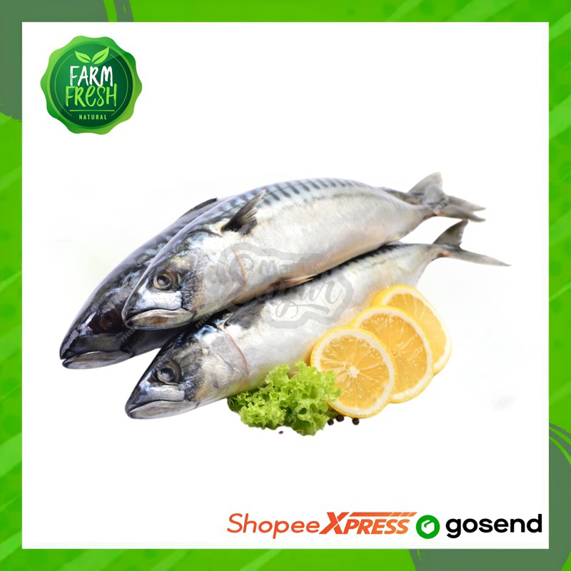 

KIRIM INSTAN Ikan Tongkol / 500gram