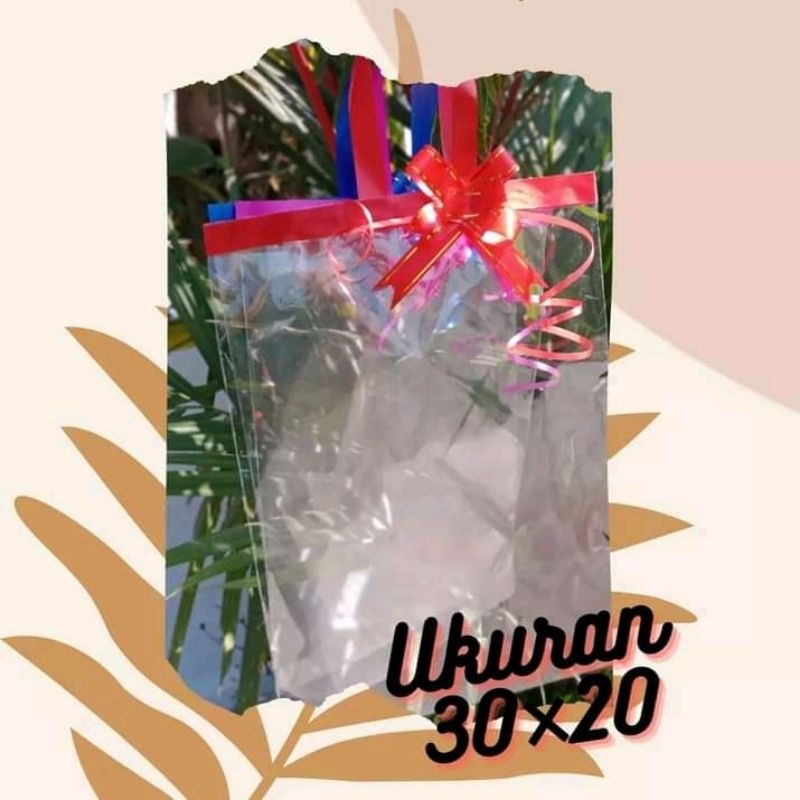 

Tas Plastik Snack Ulang Tahun Anak 20×30 cm isi 10 pcs