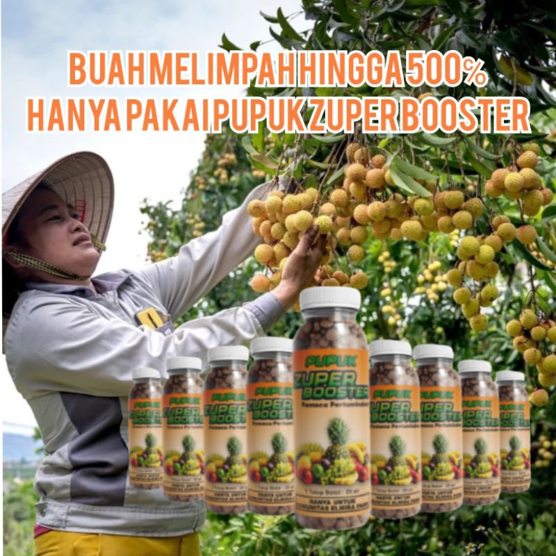 Pupuk organik zuper booster pelebat buah dan sayur