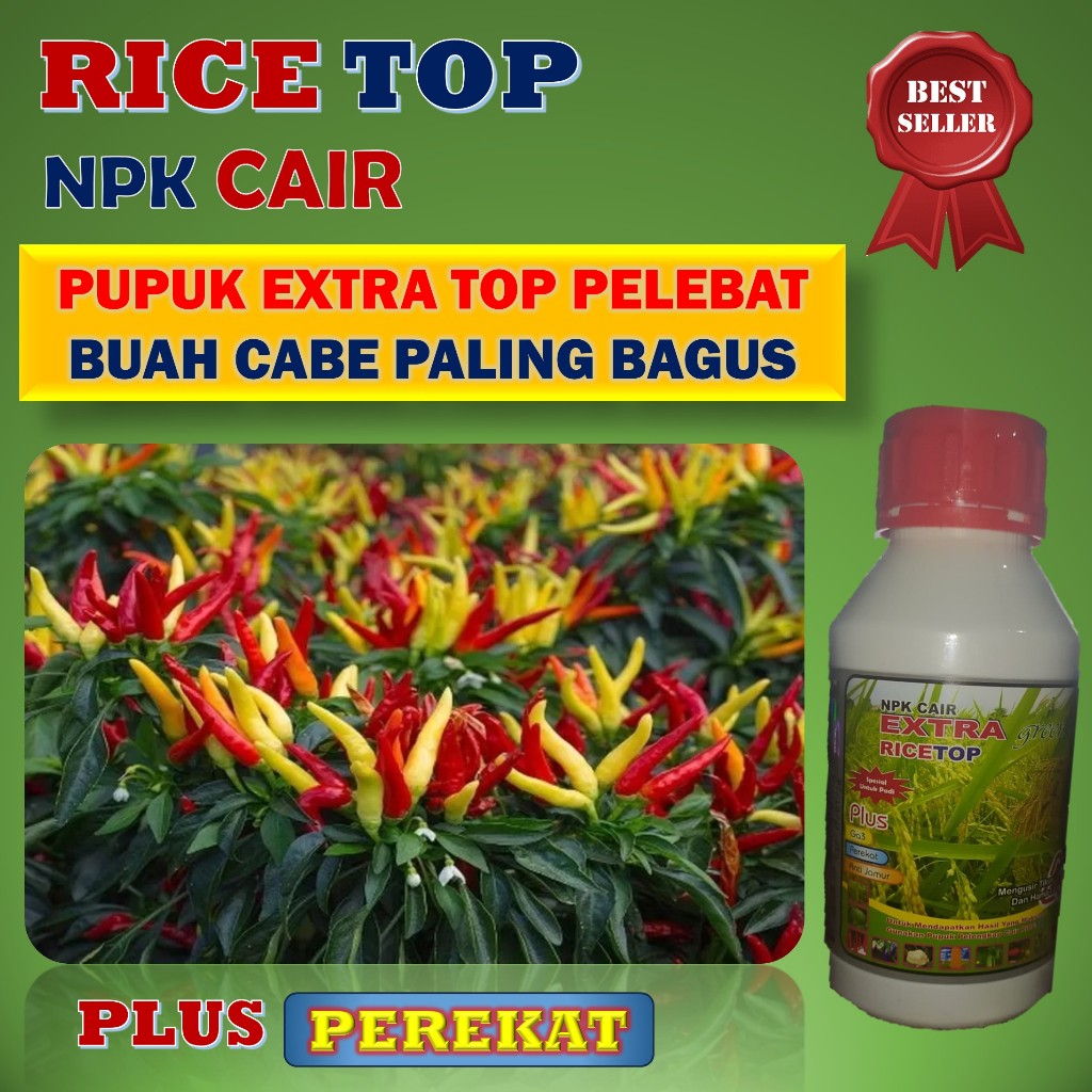 Pupuk pelebat buah cabe rawit paling bagus - RICETOP 500ML - Obat semprot penyubur buah cabe rawit