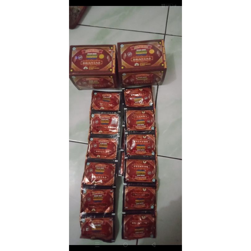 brantas obat asam urat original