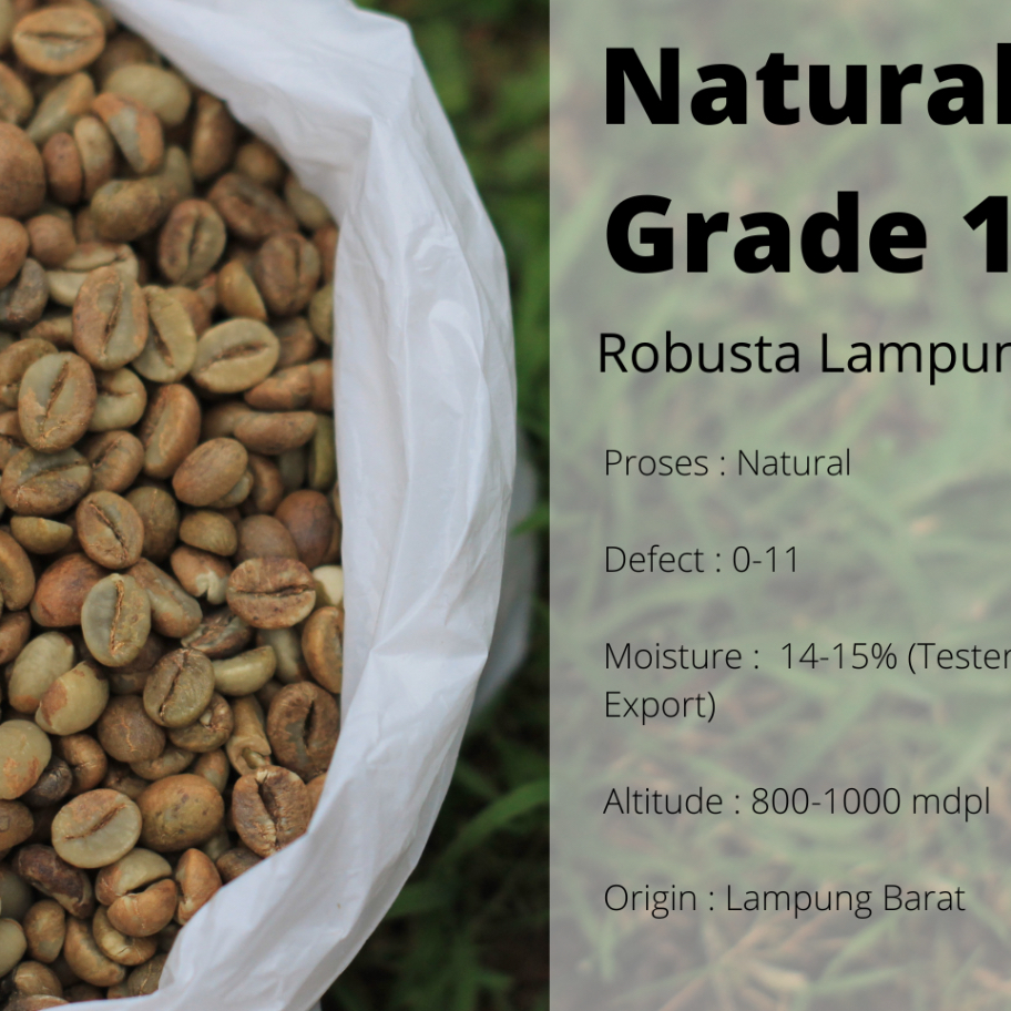 

➧✾ Green Bean Robusta Lampung Petik Merah Grade 1 - Natural Process