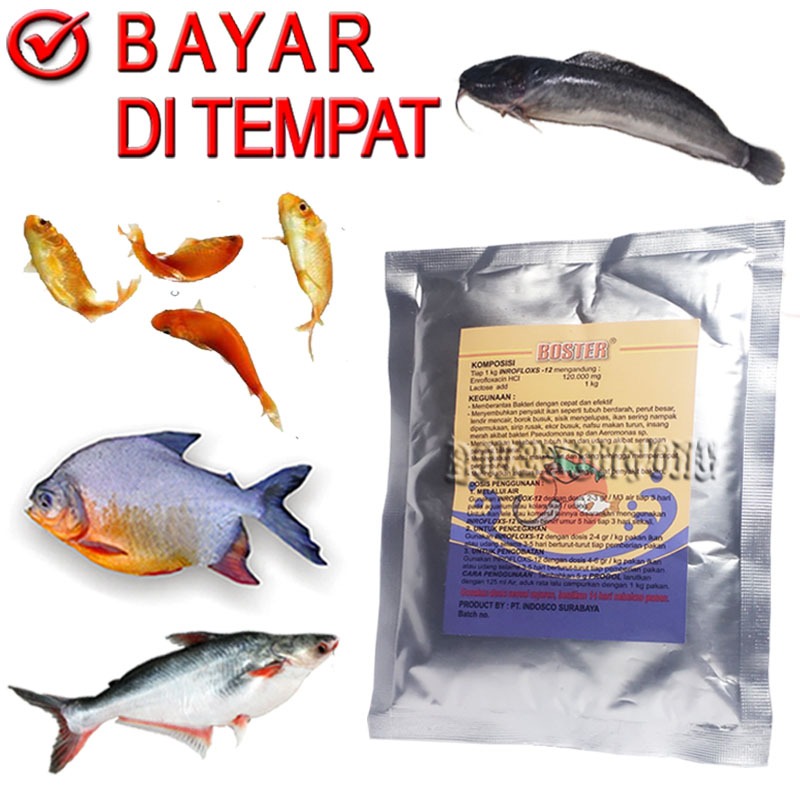 INROFLOXS 12 SERBUK BOSTER OBAT JAMUR IKAN MAS PATIN NILA LELE PATIN