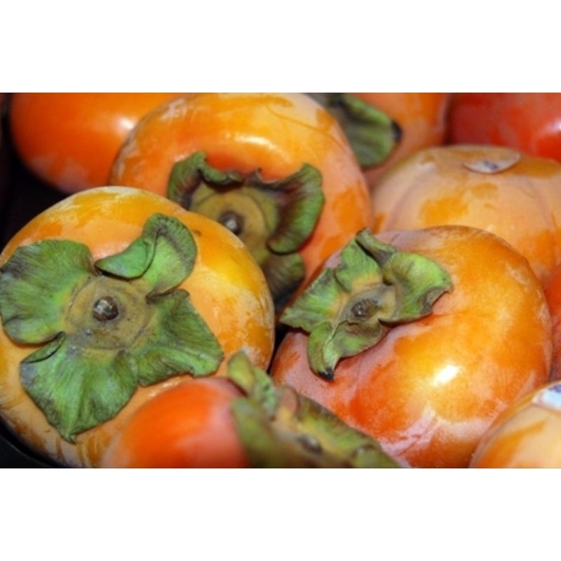 buah kesemek segar 1kg/ buah gênït persimmon/Diospyros kaki