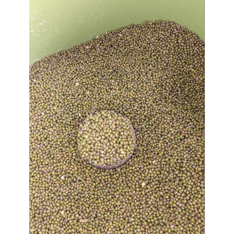 

kacang hijau super 300gr
