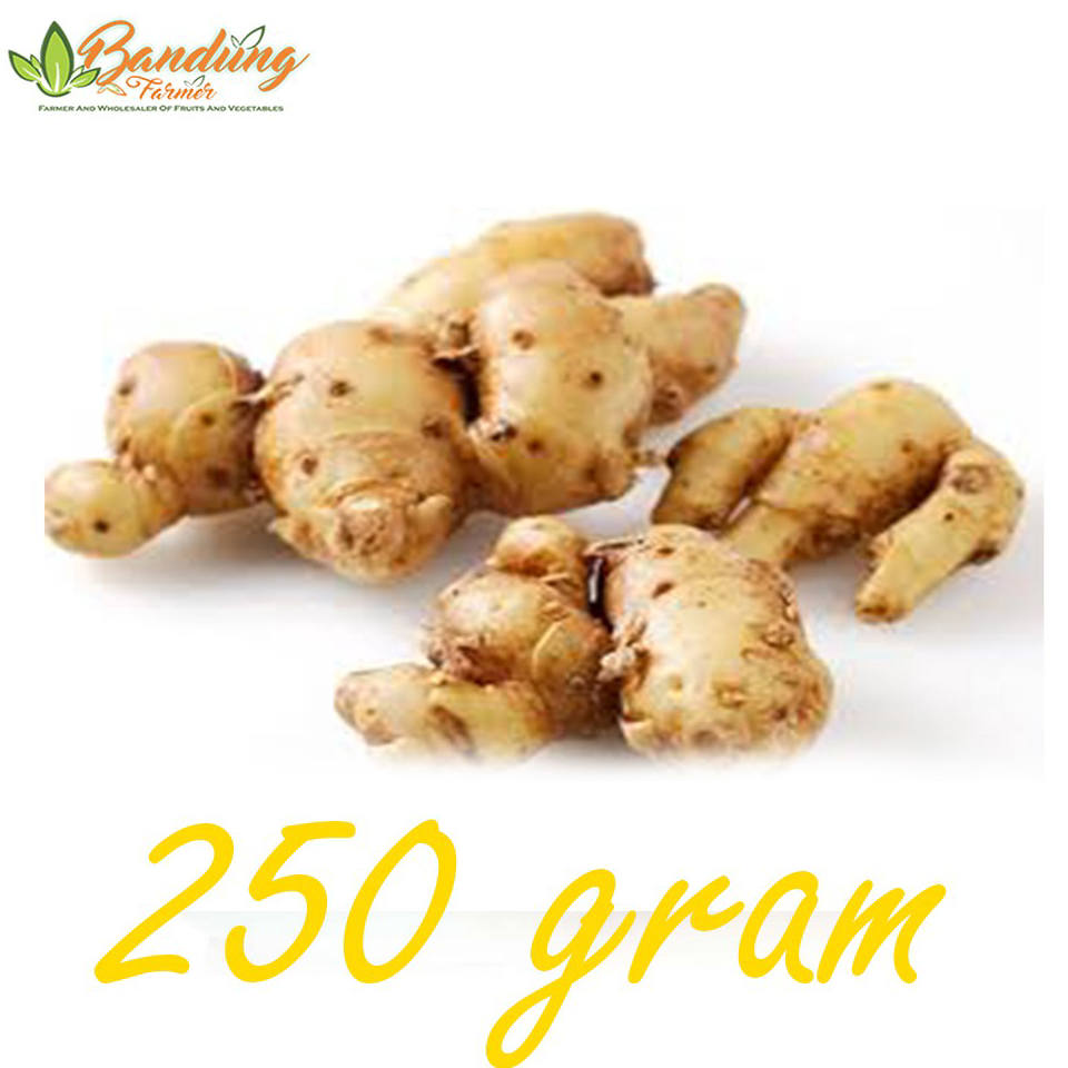 

GROSIR ✅ Kencur 250 gram