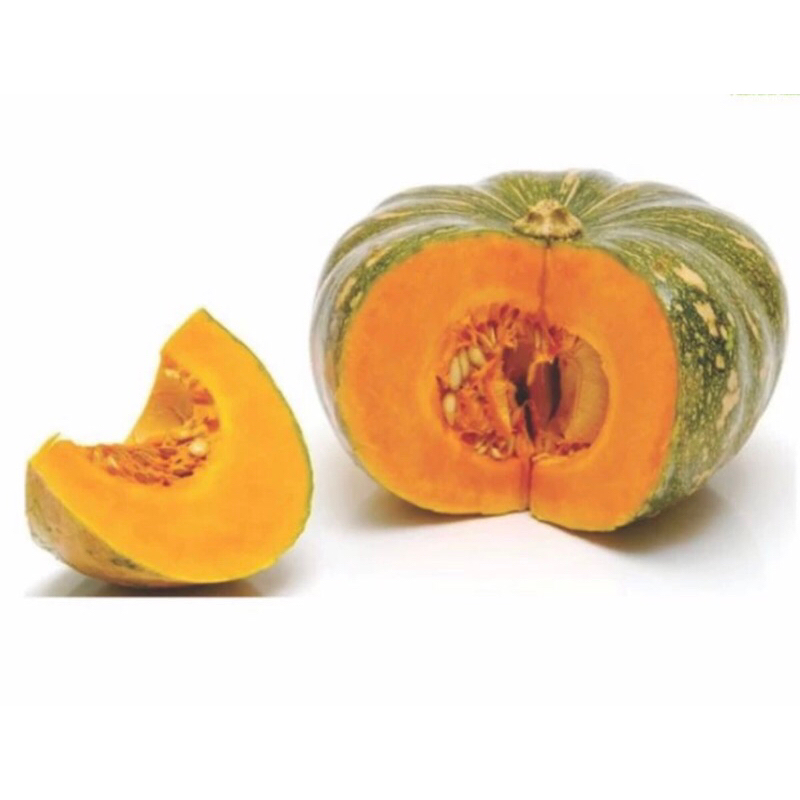 benih labu kuning jumbo pulen waluh 5biji repack