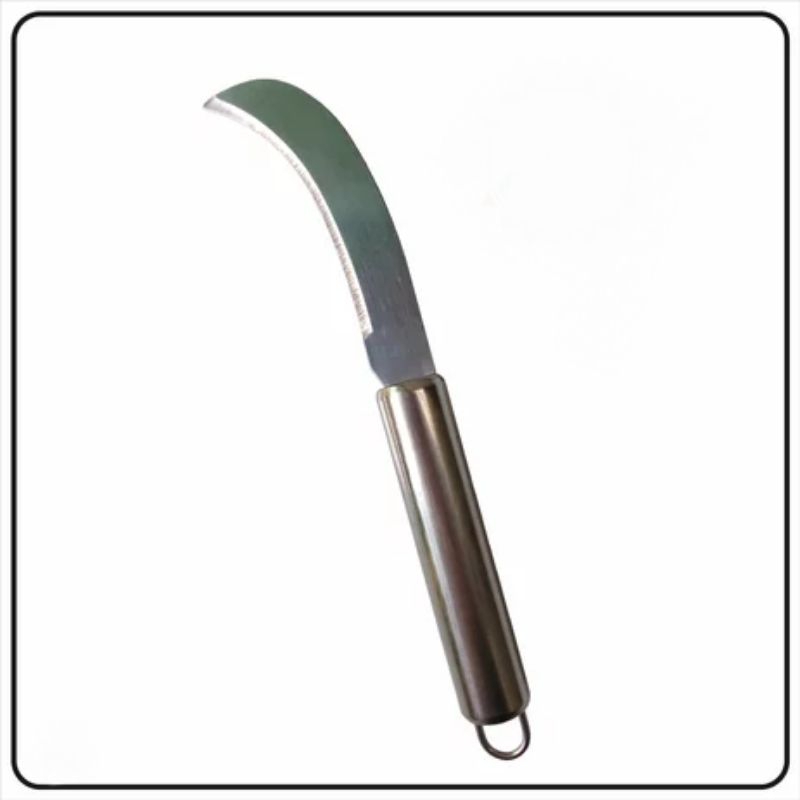 PISAU OKULASI, TANAMAN, CANGKOK