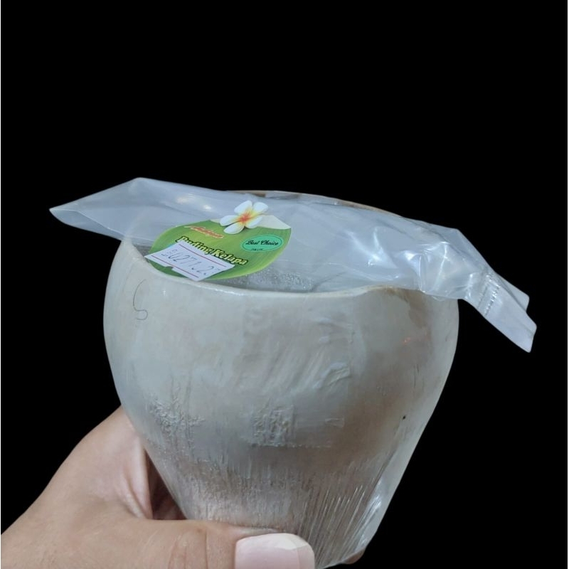 

Puding kelapa batok