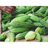 

Buah Pare