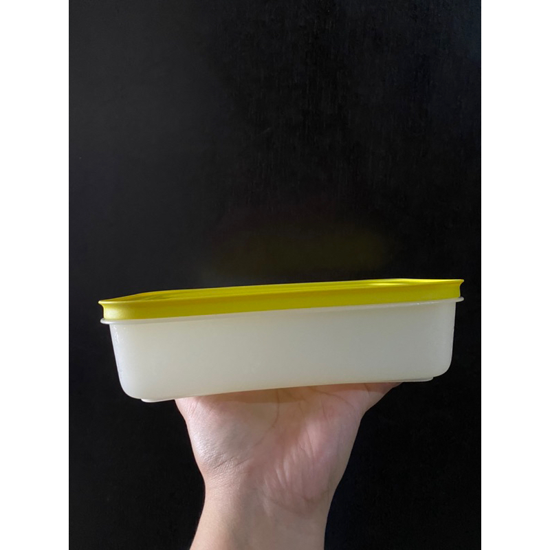 Freezer Mate 1L Tupperware Frozy Cozy