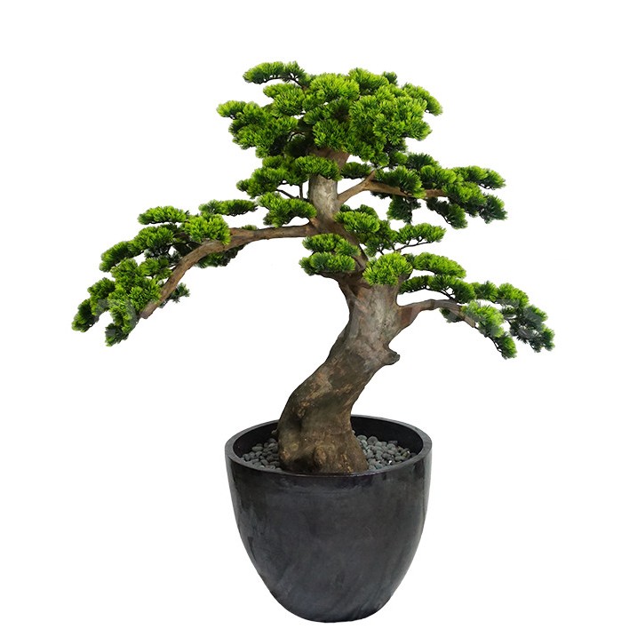 Bonsai Great Beauty  Pine Pohon Bonsai / Bonsai Palsu / Tanaman Bonsai