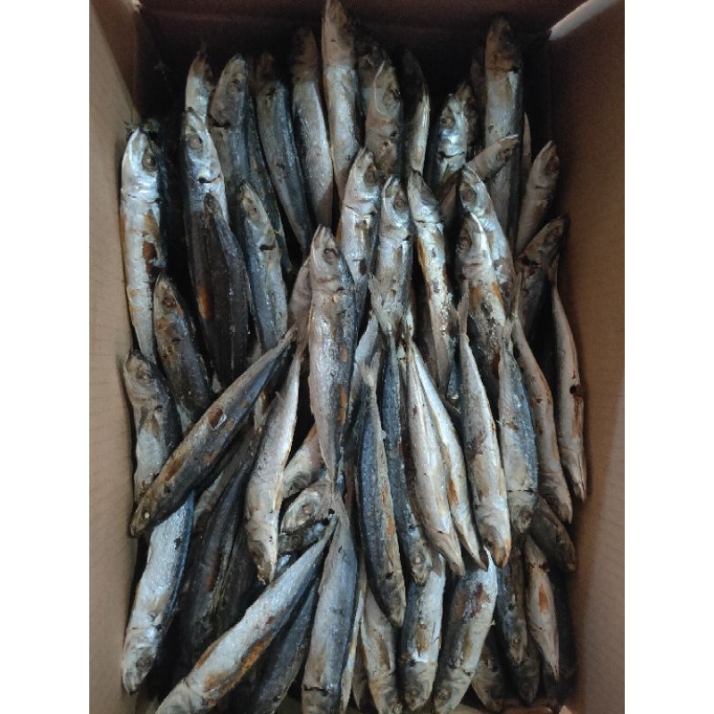 

GROSIR IKAN ASIN LAYANG REBUS / IKAN CUEK ISI 10KG