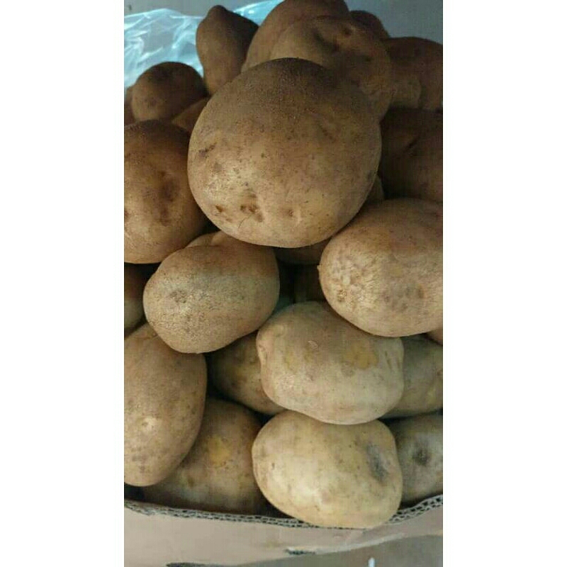 

Kentang kuning dieng kiloan