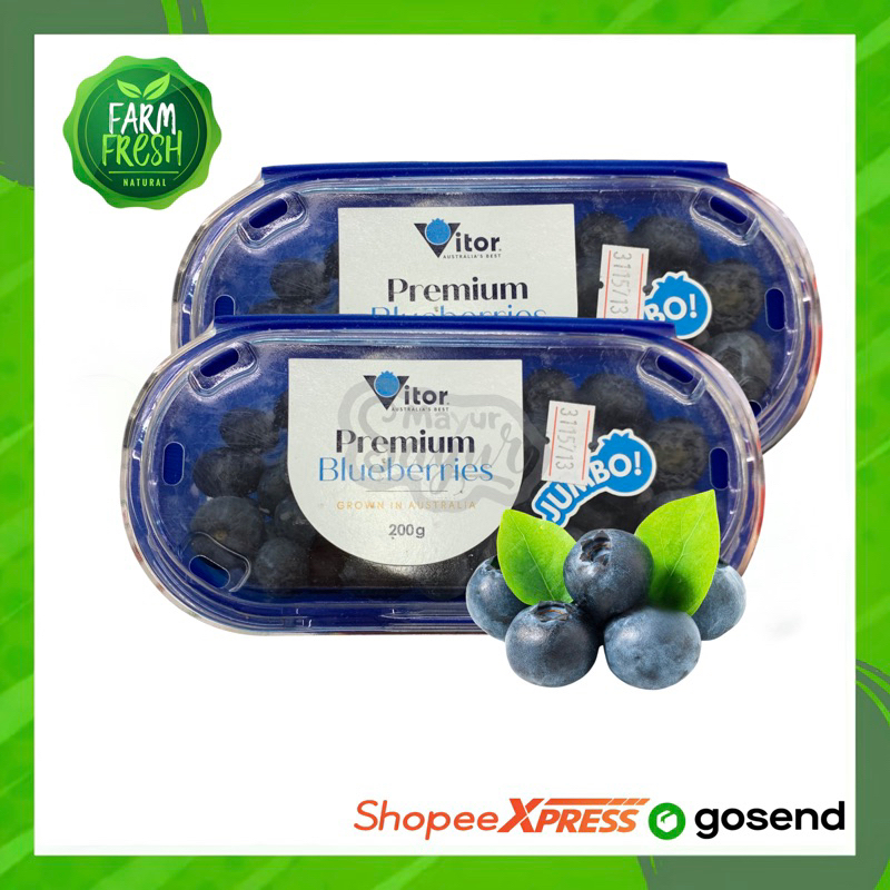 

KIRIM INSTAN Buah Blueberry Import / Per Pack